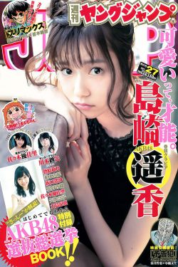 李小龙精武门