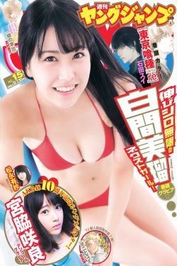 石头记